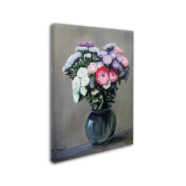 Paul Walsh 'Asters' Canvas Art,24x32